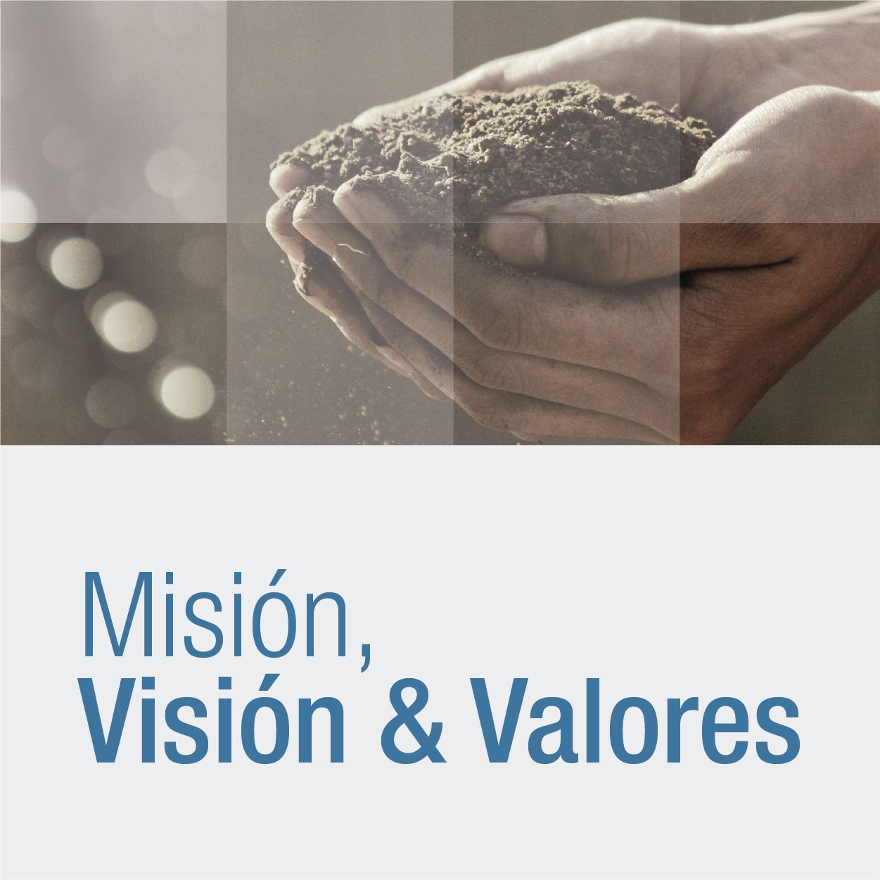 Mision / Vision / Valores