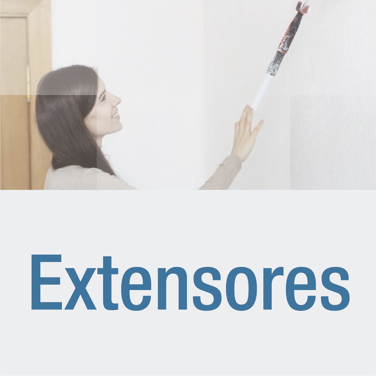 encabezado_extensores