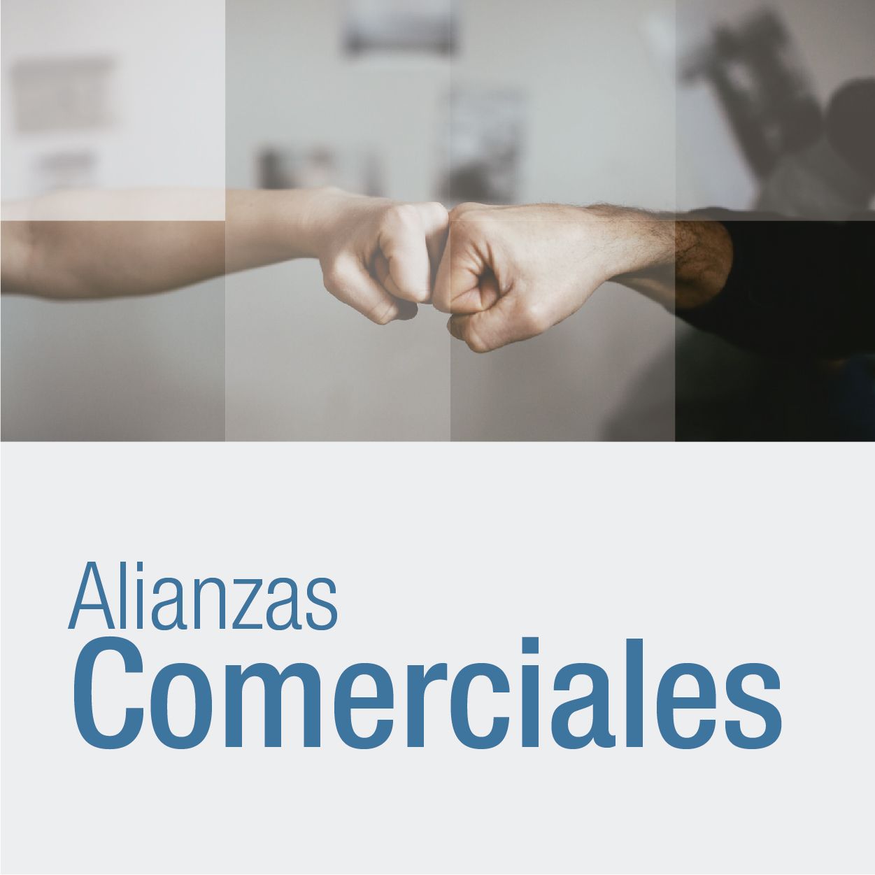 encabezado_alinzas_comerciales